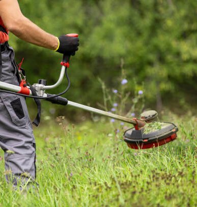 Rear view of professional gardener cutting grass with weed trimmer.